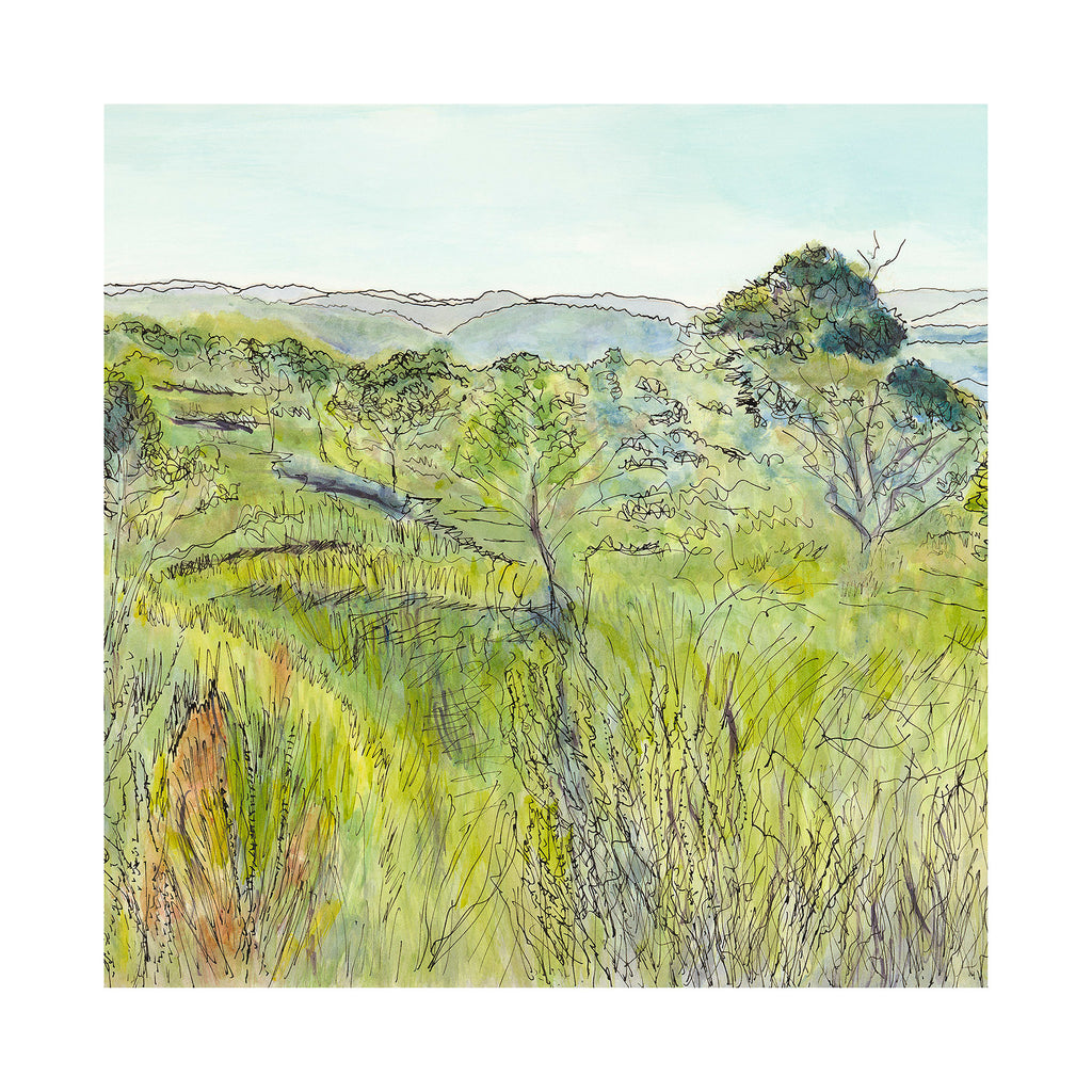 Australian landscape painting native heathland on Topham Track, Ku-ring-gai Chase National Park Sydney square limited edition print