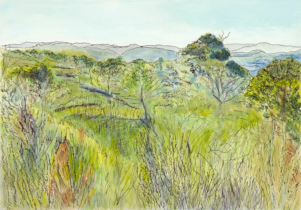 Original Australian landscape painting native heathland on Topham Track, Ku-ring-gai Chase National Park Sydney by Carollyne Smithson - scan