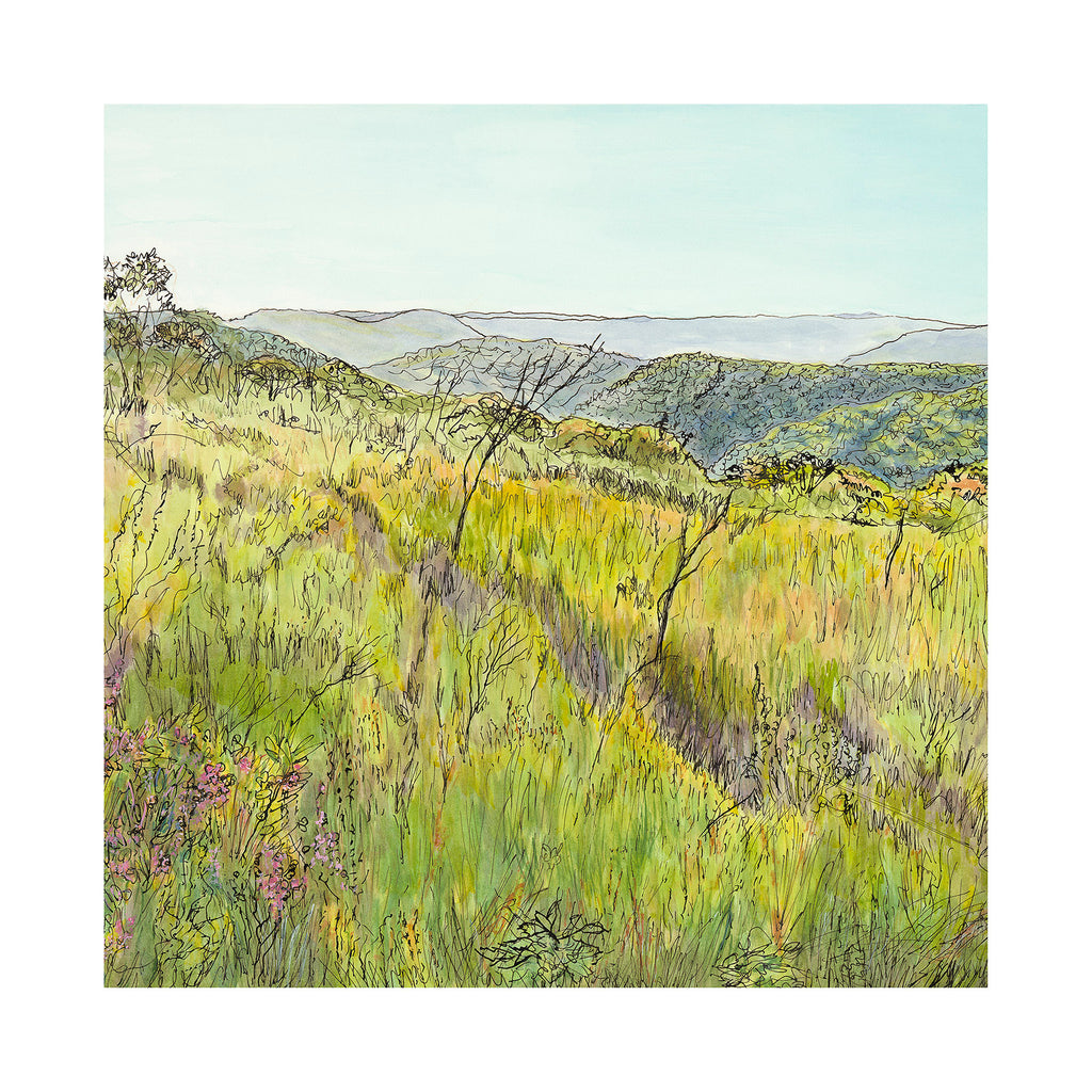 Australian landscape painting native heathland on Topham Track, Ku-ring-gai Chase National Park Sydney limited edition print