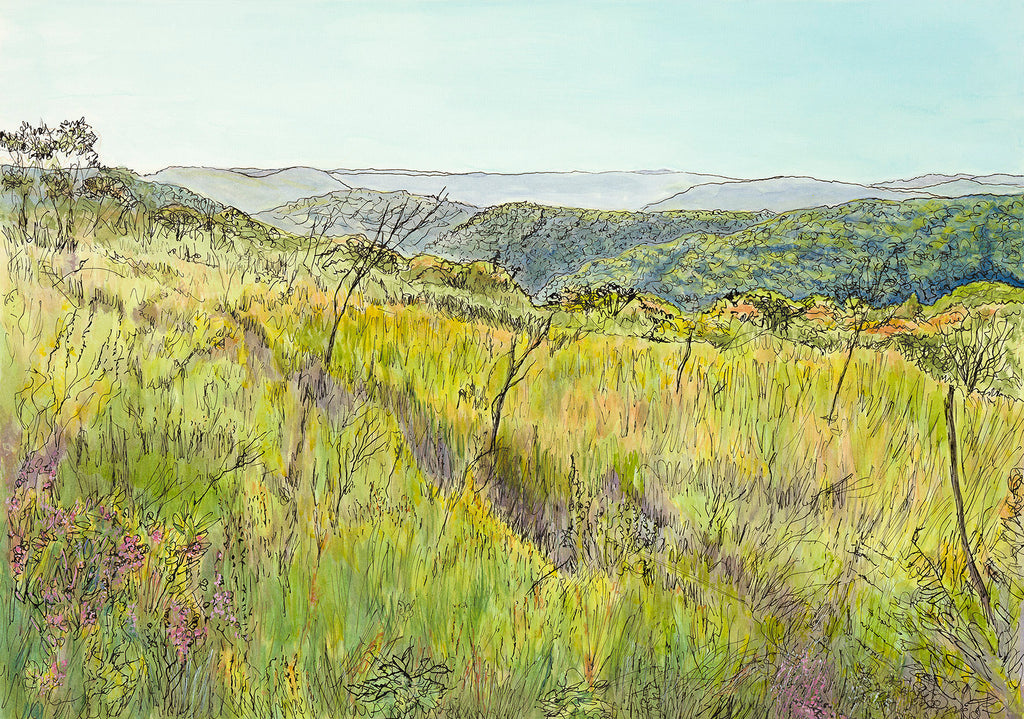Original Australian landscape painting native heathland on Topham Track, Ku-ring-gai Chase National Park Sydney  by Carollyne Smithson -= scan
