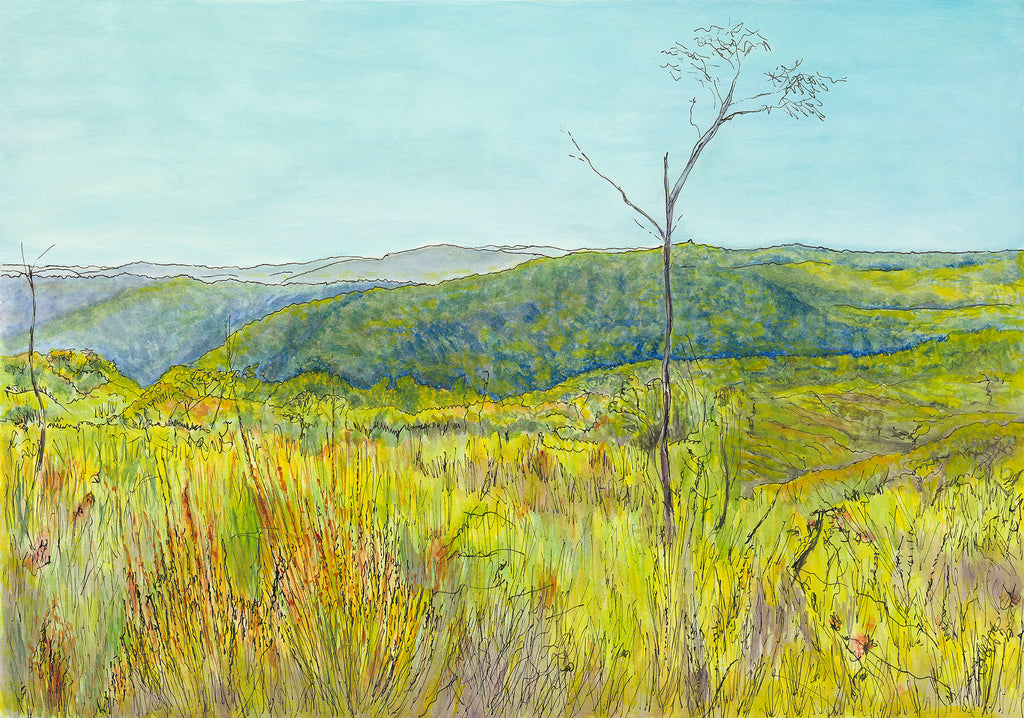 Original Australian landscape painting native heathland on Topham Track, Ku-ring-gai Chase National Park Sydney  by Carollyne Smithson - scan