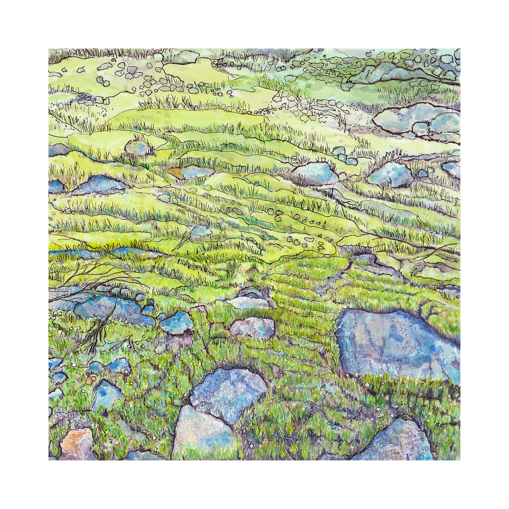 Australian landscape painting of moss and stones on Bairne Track Ku-ring-gai Chase National Park, Sydney in square limited edition print