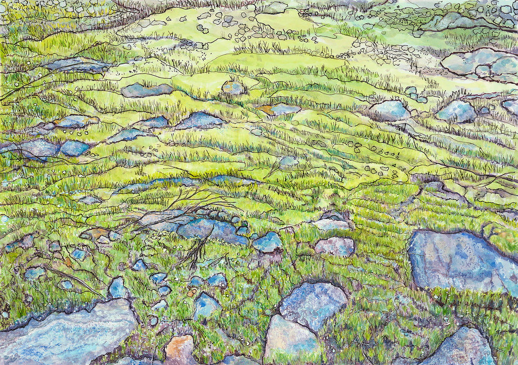 Original Australian landscape painting of moss and stones on Bairne Track Ku-ring-gai Chase National Park, Sydney  by Carollyne Smithson - scan