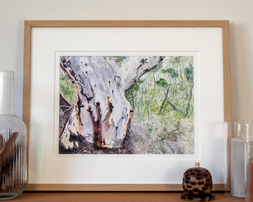 Original Australian landscape painting of Scribbly Gum Eucalyptus tree on Salvation Track Ku-ring-gai Chase National Park Sydney by Carollyne Smithson - framed