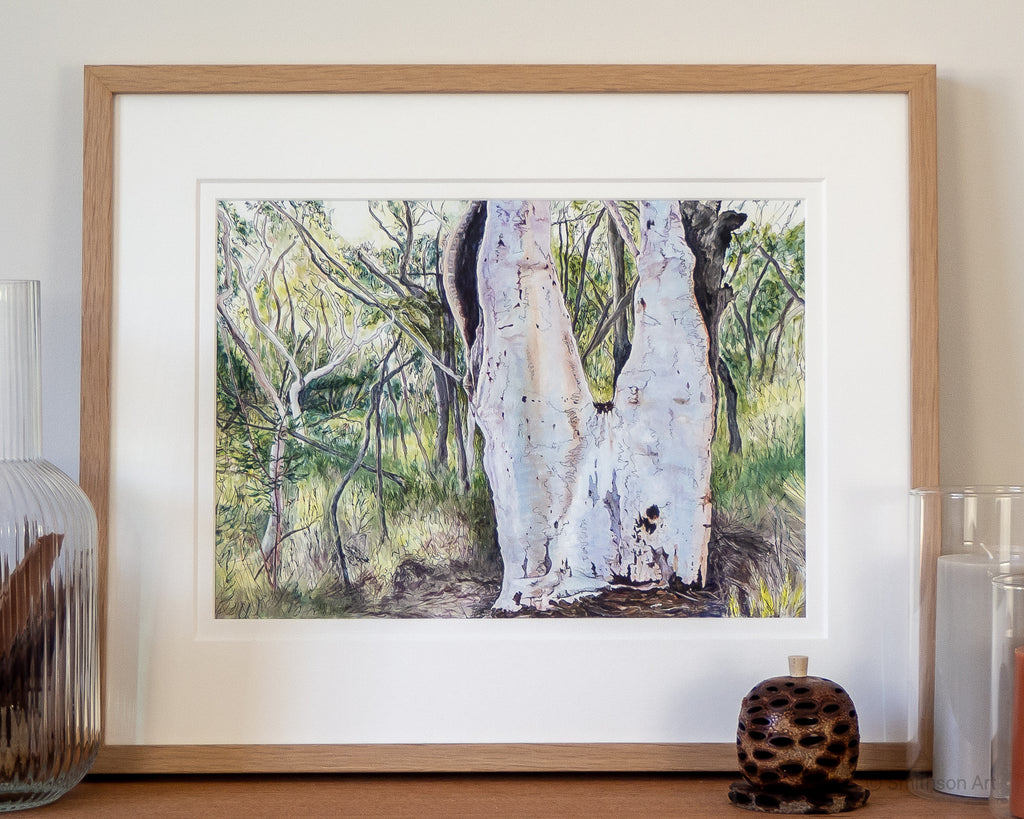Original Australian landscape painting of Scribbly Gum Eucalyptus tree on Salvation Track Ku-ring-gai Chase National Park Sydney  by Carollyne Smithson - framed