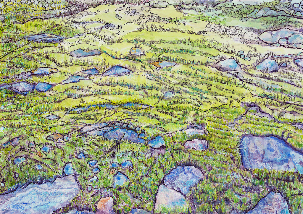 Australian landscape painting of moss and stones on Bairne Track Ku-ring-gai Chase National Park, Sydney limited edition print of original by Carollyne Smithson